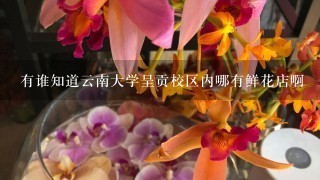 有谁知道云南大学呈贡校区内哪有鲜花店啊