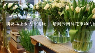 朋友马上要去云南玩 ，请问云南鲜花市场的位置和介绍?急!