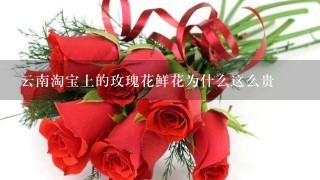 云南淘宝上的玫瑰花鲜花为什么这么贵