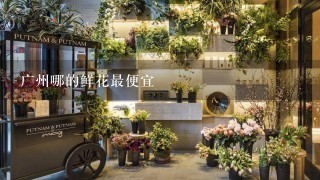 广州哪的鲜花最便宜