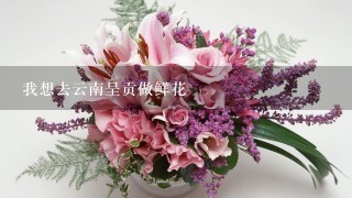 我想去云南呈贡做鲜花