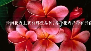 云南花卉主要有哪些品种?各种花卉品种在云南花卉产业中的比例？