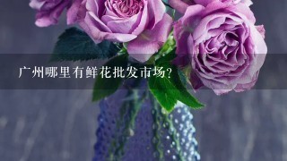 广州哪里有鲜花批发市场？