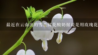 最近在云南出的雪兰鲜花酸奶据说是用玫瑰花酿的，请问玫瑰花可以食用...