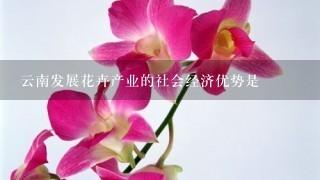 云南发展花卉产业的社会经济优势是