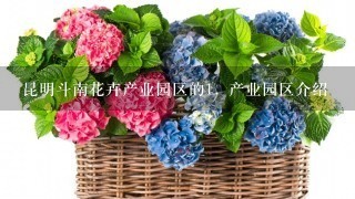 昆明斗南花卉产业园区的1. 产业园区介绍