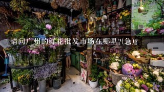 请问广州的鲜花批发市场在哪里?(急)？