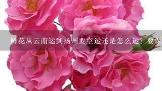 鲜花从云南运到扬州要空运还是怎么运？要保持鲜花的新鲜程度。