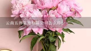 云南5洲花卉有限公司怎么样？