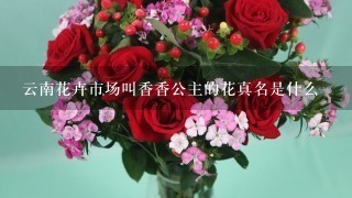 云南花卉市场叫香香公主的花真名是什么