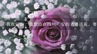 我在云南，我想给在4川广安的老婆送花，要怎么办阿？有没有在广安开花店的