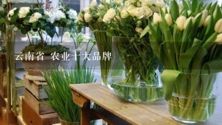 云南省 农业十大品牌