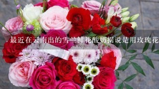 最近在云南出的雪兰鲜花酸奶据说是用玫瑰花酿的，请问玫瑰花可以食用...