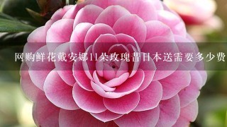 网购鲜花戴安娜11朵玫瑰昔日本送需要多少费用