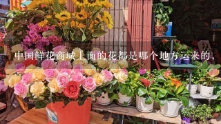 中国鲜花商城上面的花都是哪个地方运来的，新鲜吗?