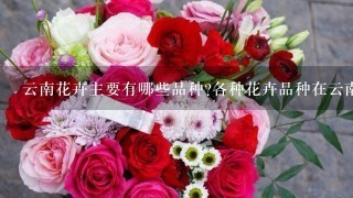 云南花卉主要有哪些品种?各种花卉品种在云南花卉产业中的比例？