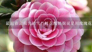 最近在云南出的雪兰鲜花酸奶据说是用玫瑰花酿的，请问玫瑰花可以食用吗？