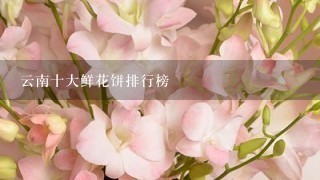 云南十大鲜花饼排行榜