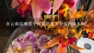 在云南昆明开个鲜花店要多少钱的成本啊！
