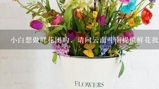 小白想做鲜花团购，请问云南斗南提供鲜花批发的基地有哪些？
