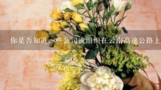 你是否知道一些公司或组织在云南高速公路上为旅客提供免费鲜花作为礼物和庆祝活动的一部分？