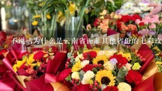 不说话为什么是云南省而非其他省份的七彩玫瑰鲜花饼