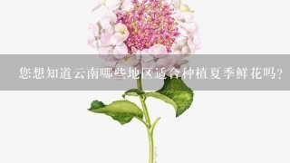您想知道云南哪些地区适合种植夏季鲜花吗