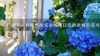 广州天河有哪些批发市场可以提供新鲜的花卉