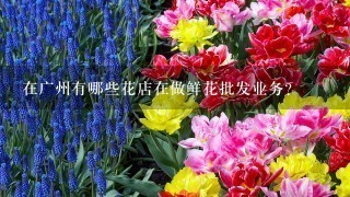 在广州有哪些花店在做鲜花批发业务