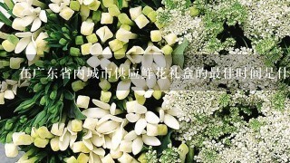 在广东省内城市供应鲜花礼盒的最佳时间是什么时候呢?